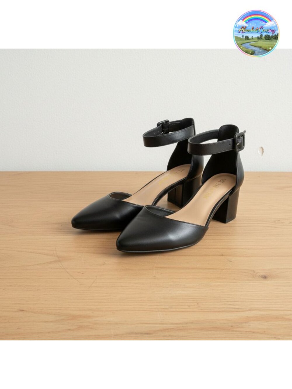 Pointed Toe Low Chunky Block Heel Pumps